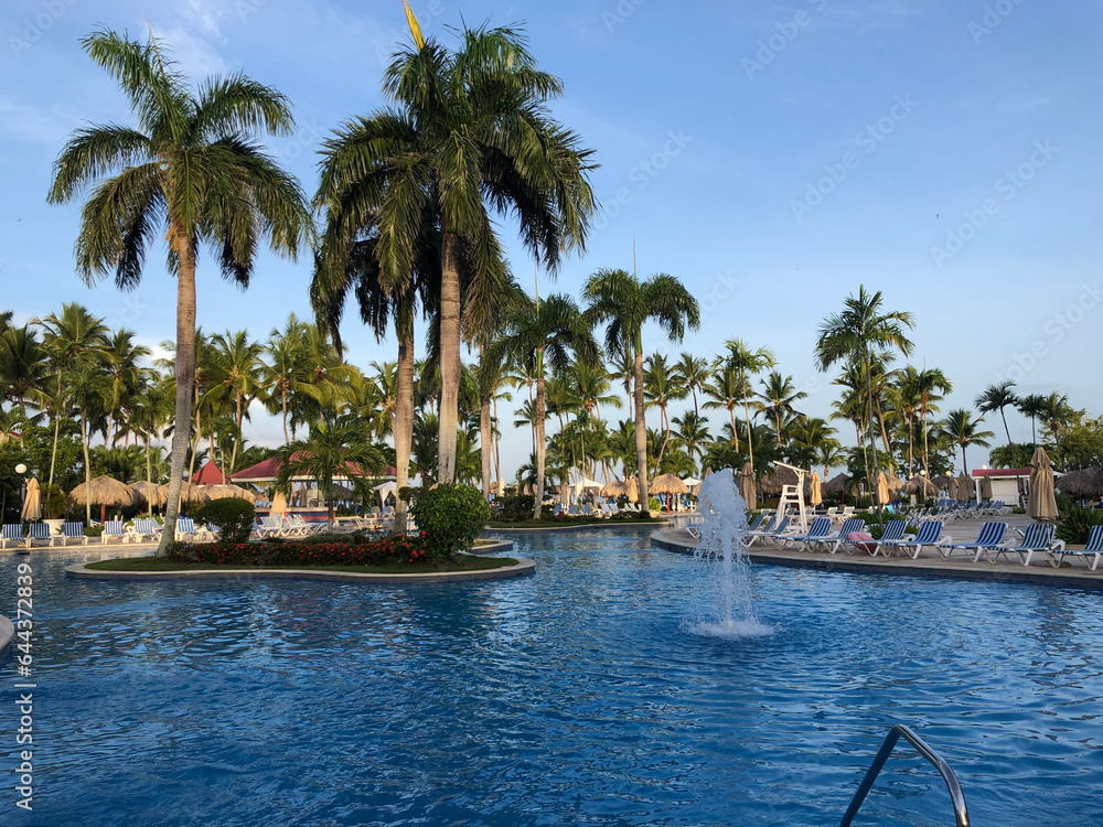 Obraz premium Huge outdoor pool with palm trees and an island