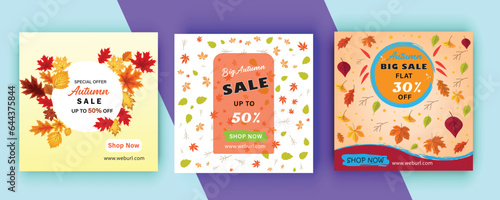 social media post   autumn sale post design with autumn leaves colorful vector design