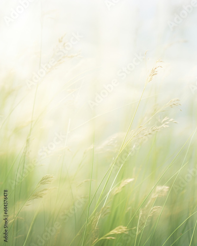  A dreamy scene displaying a soft and ethereal light background of a meadow covered in mist. The sunlight filters through the window, illuminating the mistcovered grass and