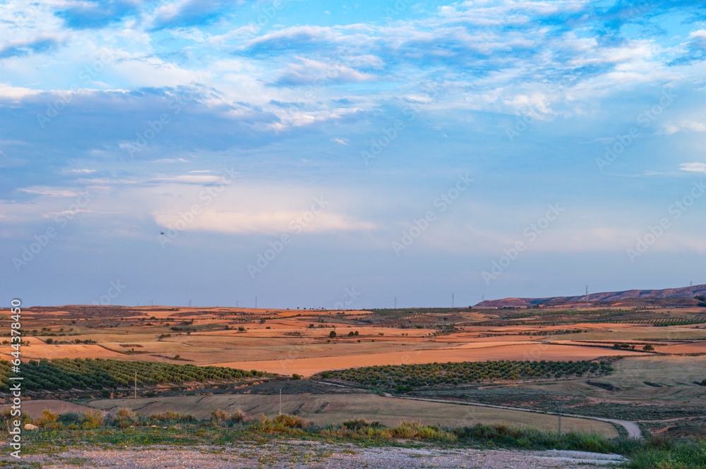 Fototapeta premium landscape