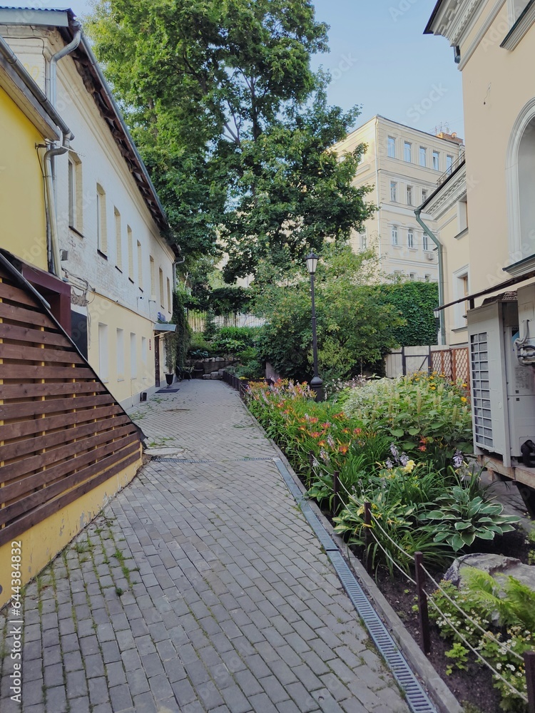 Cozy courtyard of an old house in the center of Moscow. Landscaping of adjacent territories. Green living plantings decorate the street