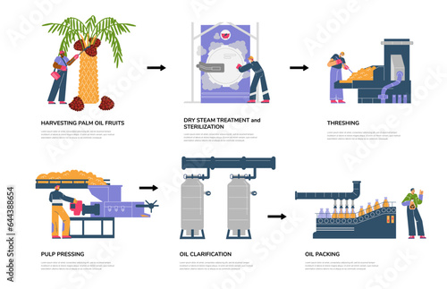 Infographic with stages of palm oil production flat style, vector illustration