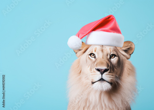 The powerful lion poses with a red Santa Claus hat in front of a pastel blue minimal background with copy space on the left. Generative AI. © Popovo