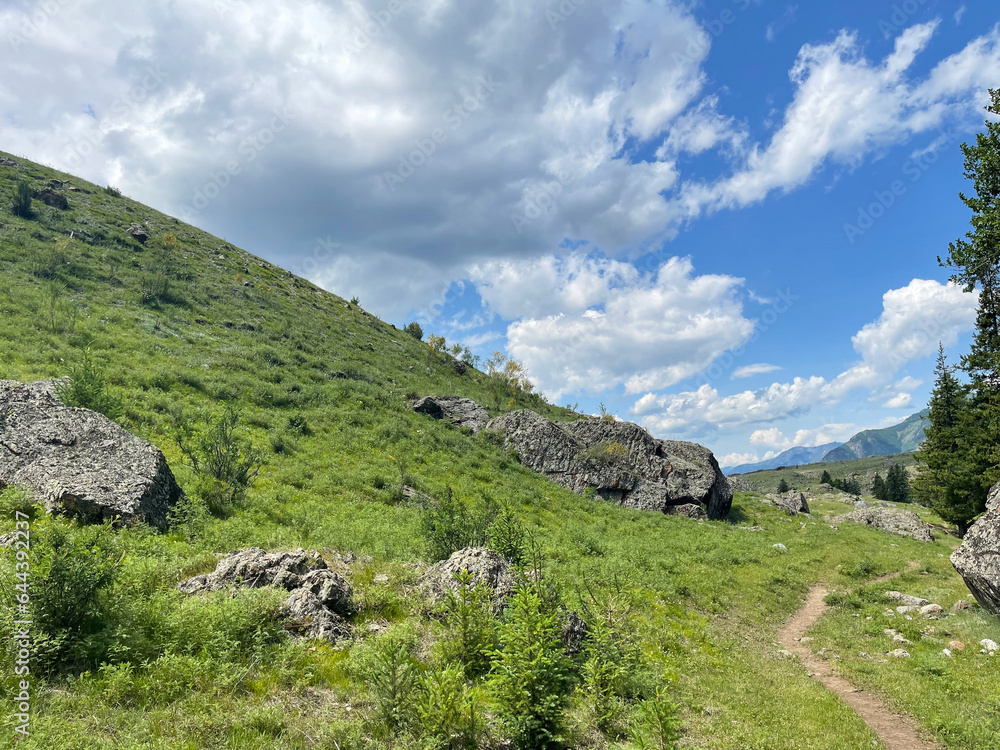 Mountain landscape with green grass, rocks and blue sky with clouds