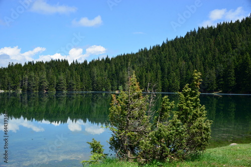 Fototapeta Naklejka Na Ścianę i Meble -   Black Lake is a lake located 3 km from the town of Žabljak in northern Montenegro. It is a glacial lake, located on the Durmitor mountain, at an altitude of 1,416 m. 