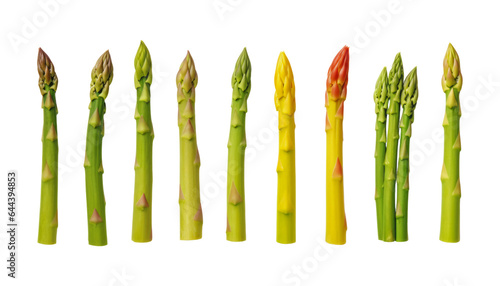 asparagus isolated on transparent background cutout