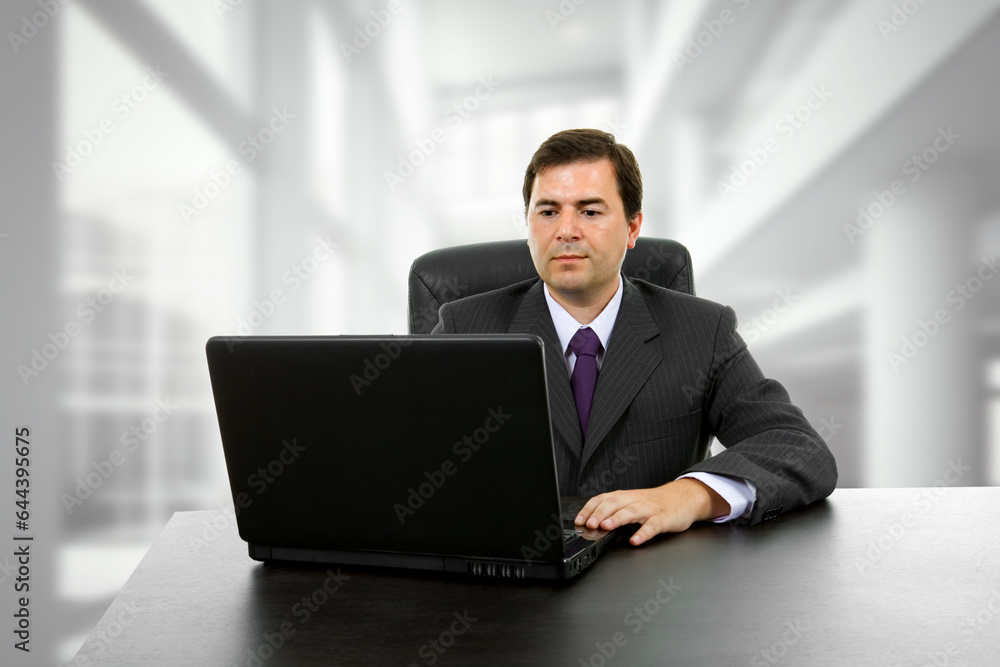 working with laptop at the office working with laptop at the office