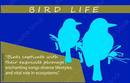 blue bird on a branch