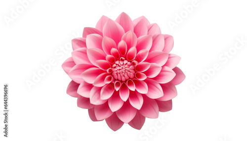 Fototapeta Naklejka Na Ścianę i Meble -  pink flower isolated on transparent background cutout