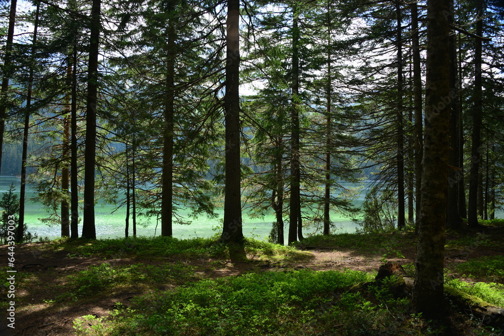 Fototapeta premium Black Lake is a lake located 3 km from the town of Žabljak in northern Montenegro. It is a glacial lake, located on the Durmitor mountain, at an altitude of 1,416 m. 