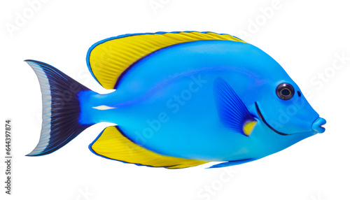 sea fish isolated on transparent background cutout