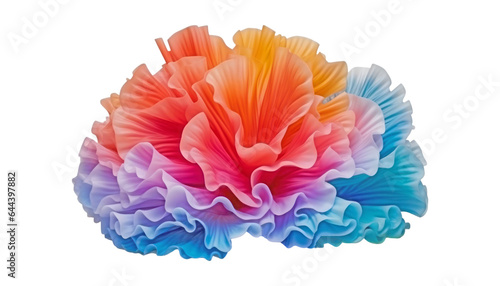 Fototapeta Naklejka Na Ścianę i Meble -  colorful coral isolated on transparent background cutout