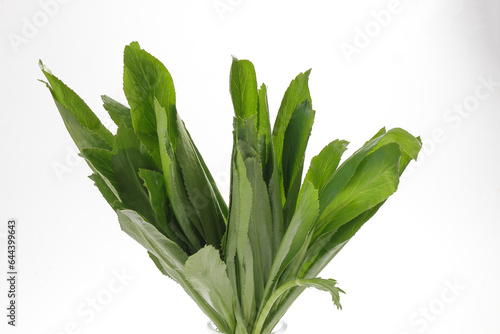 Ngo Gai leafs thai parsley fragrant herb condiment on white background