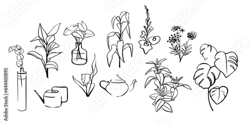 Set of hand drawn line art botanical elements. Vector illustration.
