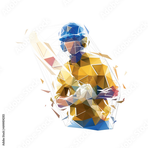 Cricket player, isolated low poly vector illustration, geometric drawing. Cricket logo