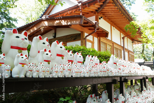 豪徳寺の招き猫