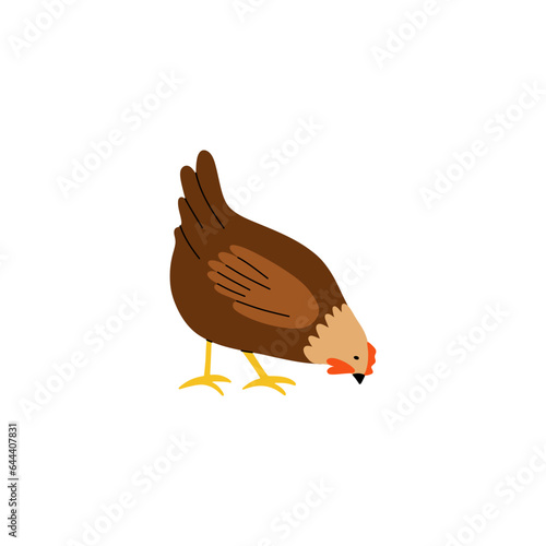 Hen or chicken. Farm birds, cute poultry, Hand drawn funny contemporary drawing domestic chick, egg and meat, traditional easter symbol cartoon flat vector countryside illustration