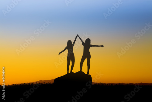 Silhouettes of Two Girls Embracing the Evening Sky