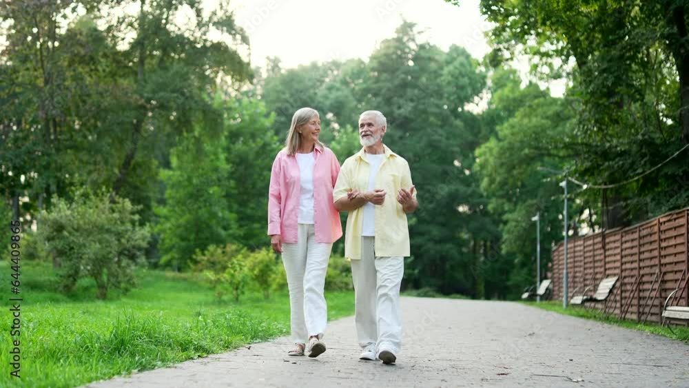 Happy old senior married couple spend leisure time together walking in urban city park. Joyful mature gray haired retired wife and husband have fun talking, hugging, enjoying a walk outside in nature Happy old senior married couple spend leisure time together walking in urban city park. Joyful mature gray haired retired wife and husband have fun talking, hugging, enjoying a walk outside in nature