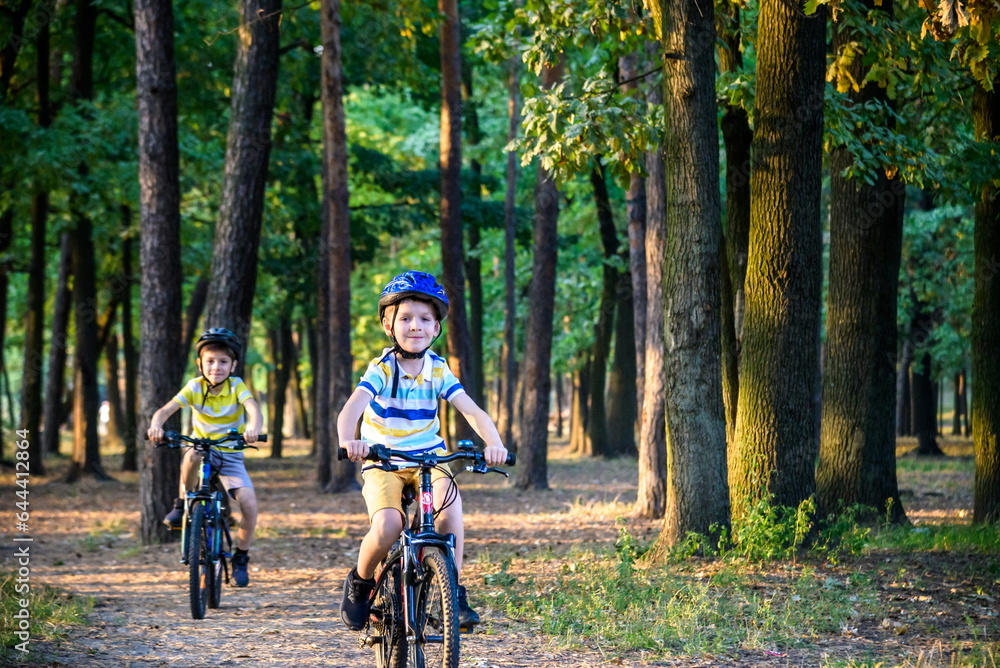 Two little boys children having fun on Balance Bike on a country road.