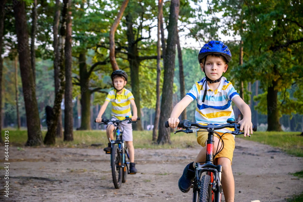 Two little kid boys in colorful casual clothes in summer forest park driving bicycle. Active children cycling on sunny fall day in nature. Safety, sports, leisure with kids concept Two little kid boys in colorful casual clothes in summer forest park driving bicycle. Active children cycling on sunny fall day in nature. Safety, sports, leisure with kids concept