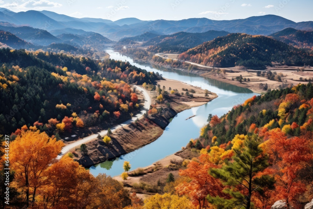 Aerial top view autumn forest and river in mountains, beautiful colorful trees, drone photo