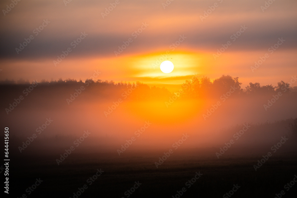 Foggy Sunrise