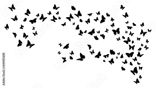 Set of flying black butterfly silhouettes. Vector design 
