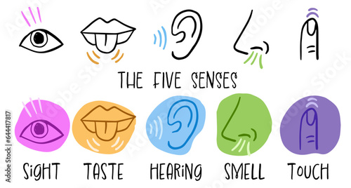 Five senses doodle icon set

