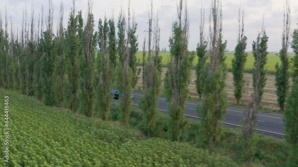 A blue sport car drives down a scenic highway at sunset. Shooting from a drone. A blue sport car drives down a scenic highway at sunset. Shooting from a drone.
