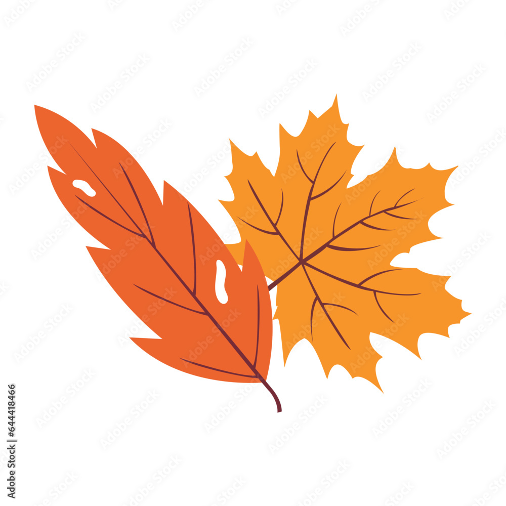 Fototapeta premium Autumn Leaves
