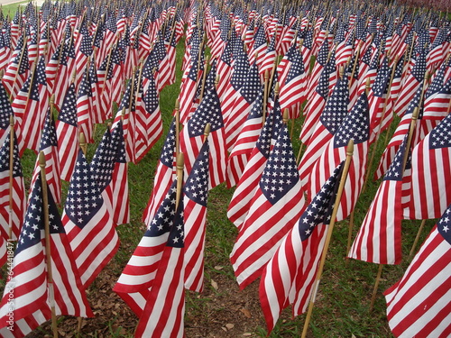 american flag and flags