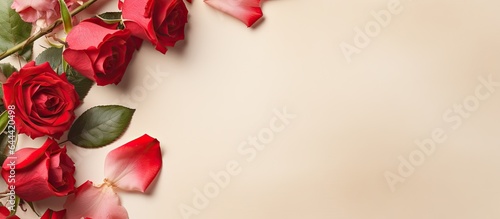 Red roses and notes on a isolated pastel background Copy space