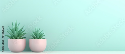 Plastic pots enhance the appearance of tiny decorative plants isolated pastel background Copy space