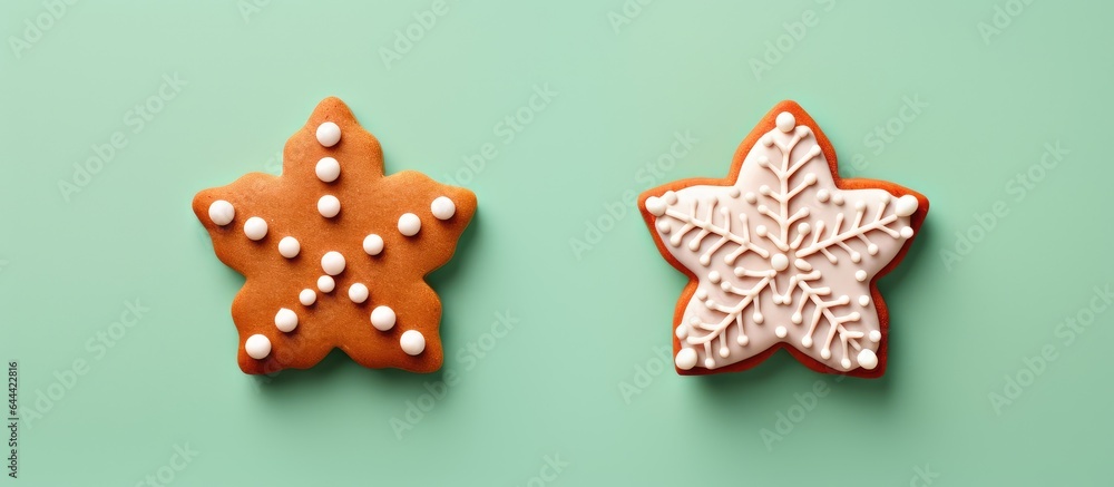 Pair of cookies on a isolated pastel background Copy space Pair of cookies on a isolated pastel background Copy space