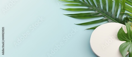 Tropical foliage on a isolated pastel background Copy space with clipping path