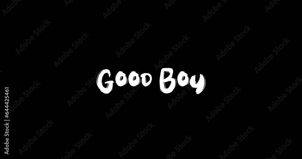Good Boy Grunge Transition Bold Text Typography Animation on Black Background Good Boy Grunge Transition Bold Text Typography Animation on Black Background