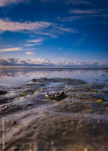 Unendliche Weite: Ein beeindruckendes Foto aus dem Watt der Nordsee, Blick in Richtung des endlosen Horizonts an einem wunderschönen Tag mit strahlend blauem Himmel. photo