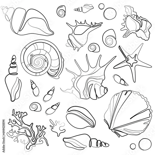 Seashells vector outline drawing set. Various mollusk sea shells different forms, echinus, sea urchin, starfish, seaweed.Hand drawn illustration on white background.Collection of abstract sketches