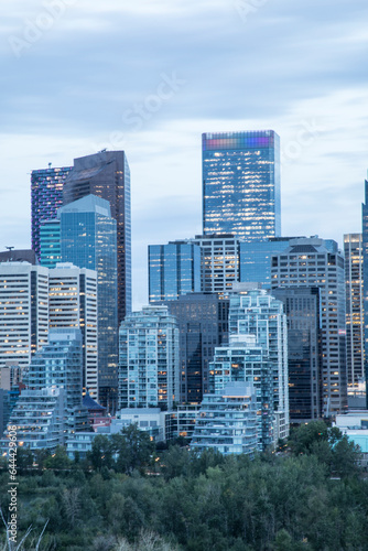 Beautiful view of the Downtown in Calgary, Canada © marinadatsenko