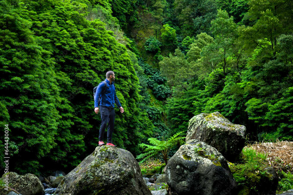 Young man climbed on a rock in a wonderful forest Young man climbed on a rock in a wonderful forest
