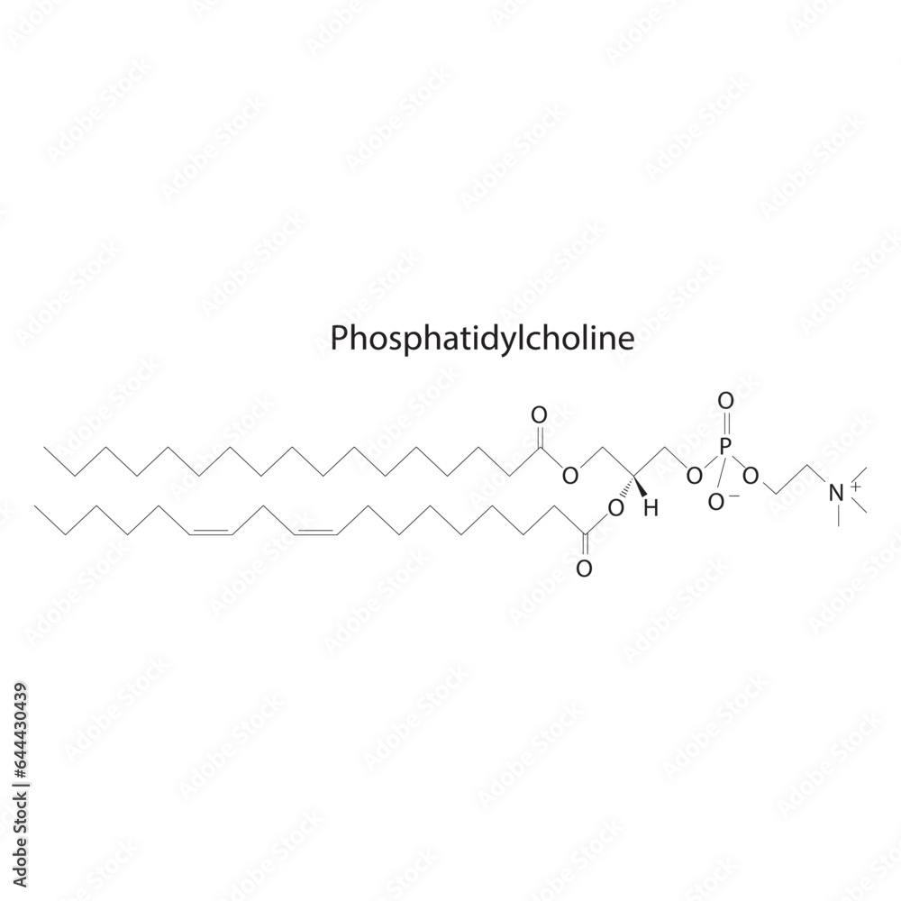 Structure of Phosphatidylcholine biomolecule, skeletal structure diagram on on white background. Scientific diagram vector illustration. Structure of Phosphatidylcholine biomolecule, skeletal structure diagram on on white background. Scientific diagram vector illustration.