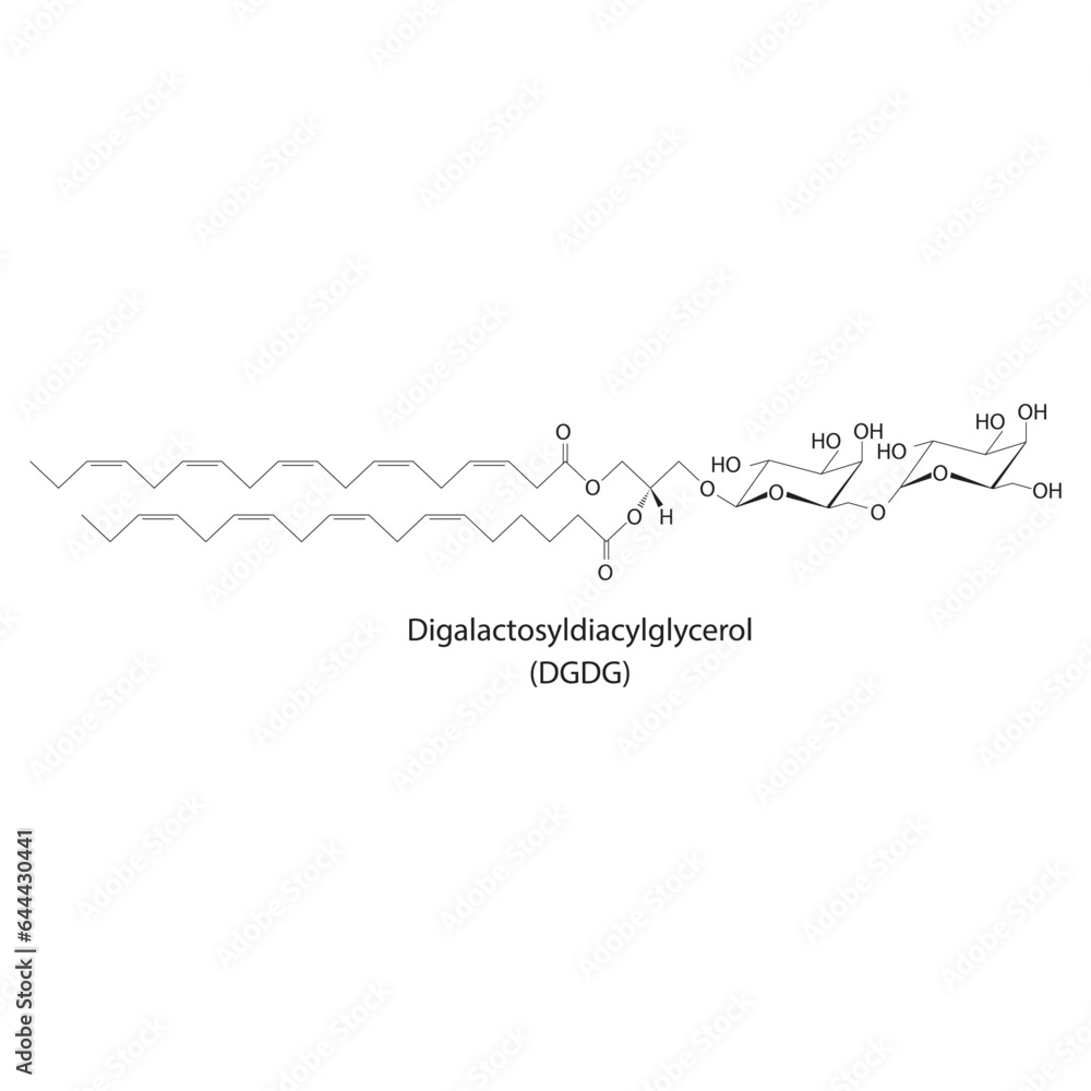 Digalactosyldiacylglycerol (DGDG) molecular strcuture vector illustration. Scientific diagram of chloroplast memebrane component on on white background. Vector illustration.