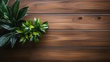 Wooden background with green plant. Top view with copy space. High quality photo