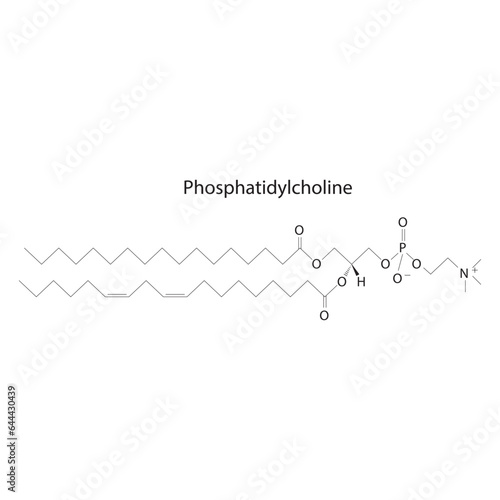 Structure of Phosphatidylcholine biomolecule, skeletal structure diagram on on white background. Scientific diagram vector illustration.