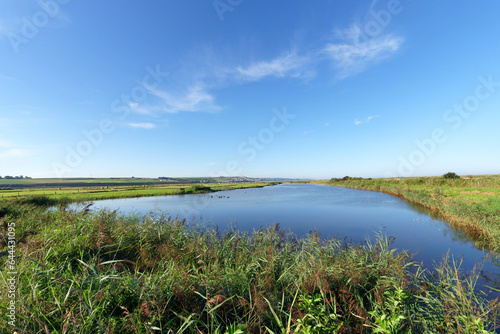 Swamps and meadows of the Hable of Ault in Picardy coast