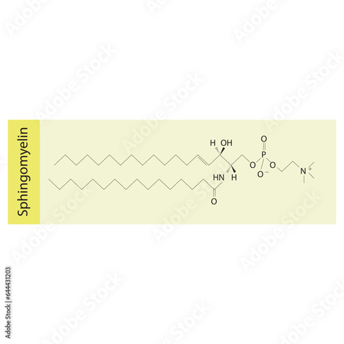 Structure of Sphingomyelin biomolecule, skeletal structure diagram on on pink background. Scientific diagram vector illustration.