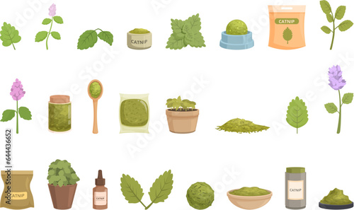 Catnip icons set cartoon vector. Nature plant. Flower food
