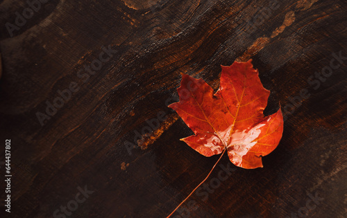 Red dry maple leaf on wooden background.