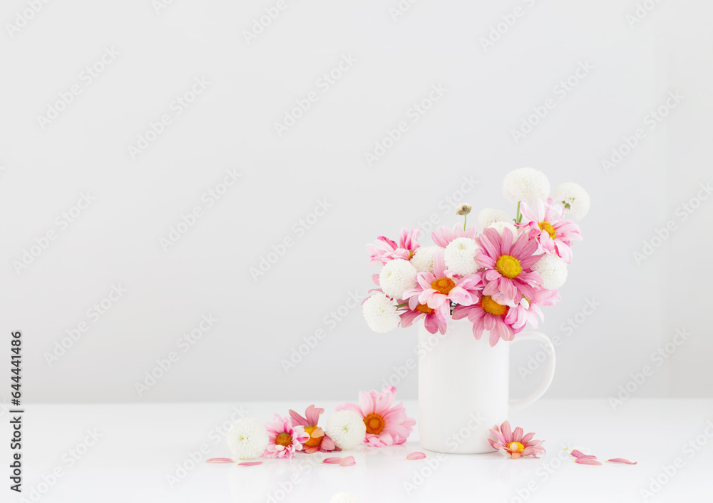 white and pink chrysanthemums in white cup on white background white and pink chrysanthemums in white cup on white background
